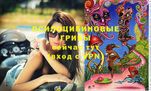 тгк Кодинск