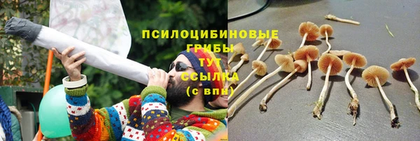 таблы Фёдоровский